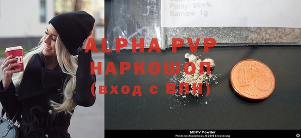 ПСИЛОЦИБИНОВЫЕ ГРИБЫ Богданович