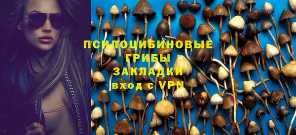 Альфа ПВП Белокуриха