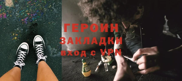 ПСИЛОЦИБИНОВЫЕ ГРИБЫ Богданович