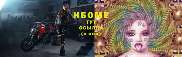 ПСИЛОЦИБИНОВЫЕ ГРИБЫ Богданович